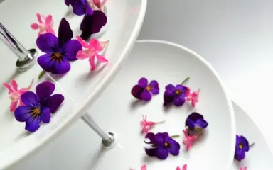 High Tea thuisbezorgd Ontbijtservice Noorderland