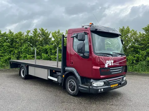 DAF LF 45.160 Go8 (bj 2008, automaat)