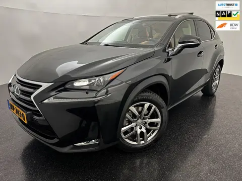 Lexus NX 300h AWD Luxury Line / Pano / Leder / Dealeronderhouden / NAP