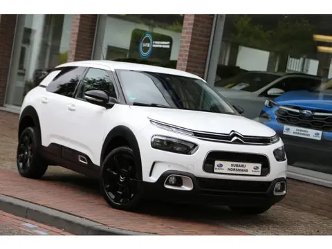 Citroën C4 Cactus 1.2 PureTech Shine Navi Camera (bj 2019)