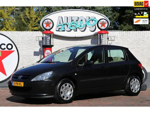 Peugeot 307 1.6-16V XT Automaat, AC + CC. Youngtimer NL