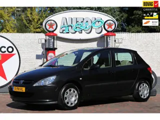 Peugeot 307 1.6-16V XT Automaat, AC + CC. Youngtimer NL
