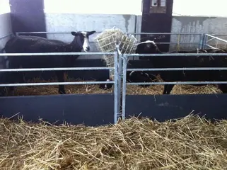 Veno Kraamhokhekken voor Schapen en Lammeren