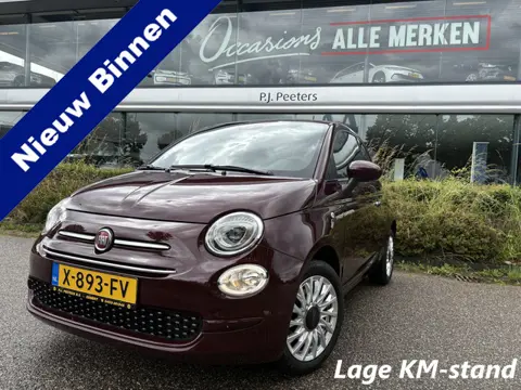 Fiat 500C 1.2 lounge Airco - Apple carplay - Navigatie - Parkeersensoren achter - Licht metalen velg