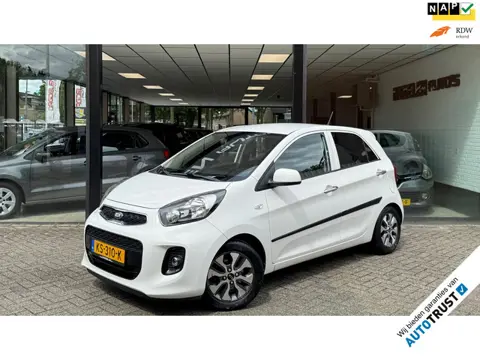 Kia Picanto 1.0 CVVT 2e EIG | NAVI | CAMERA | CRUISE | LMV | NAP