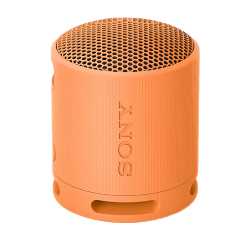 Sony SRS-XB100 Oranje