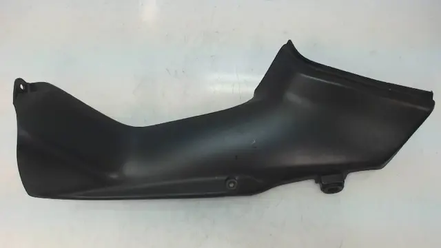 RECHTER ACHTERKANT Honda CBR Fireblade 2000 - 2001