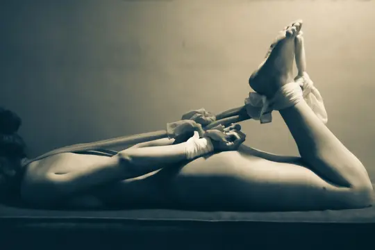 Ervaren Bdsm Mr zoekt sub