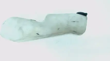 KOELVLOEISTOF RESERVOIR Triumph Sprint ST 955 1999 - 2005