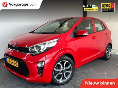 Kia Picanto 1.0 CVVT DynamicPlusLine|Nieuwstaat|NAP|Eerste eigenaar|Carplay|Camera|Climate Control|N