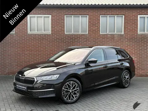 Skoda Octavia Combi 1.5 TSI MHEV Sportline Business