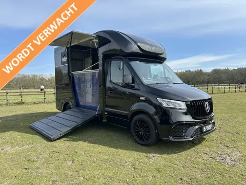 Mercedes-Benz Sprinter 317 AMG 2-paards paardenvrachtwagen B-rijbewijs