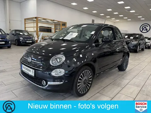 Fiat 500 1.2 Lounge / PDC / 16" / MULTI-MEDIA (bj 2016)