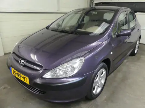 Peugeot 307 2.0-16V XT - Automaat - Cruise Control