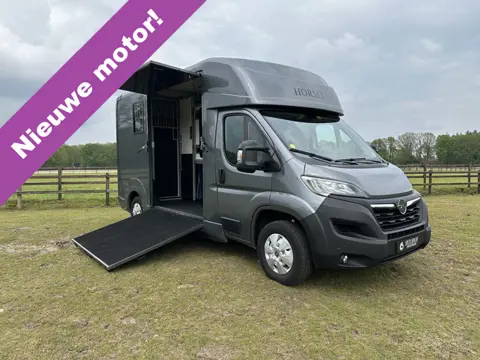 Opel Movano AKX 2-paards paardenvrachtwagen B-rijbewijs 3000KG trekhaak!