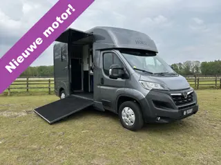 Opel Movano AKX 2-paards paardenvrachtwagen B-rijbewijs 3000KG trekhaak!