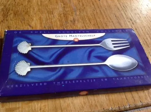 Shell schelpencollectie - de Grote Mantelschelp