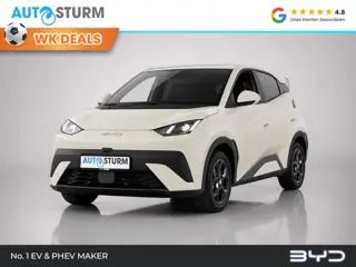 BYD DOLPHIN SURF Boost 43 kWh