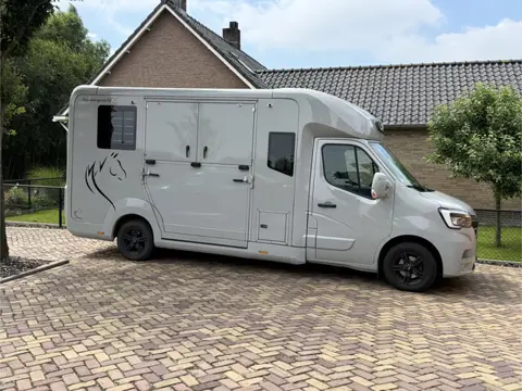 Renault Master | HORSETRUCK | STX | STALLION 5XL | 2022 | HENGST | 41.000KM | MANUEL | 5-SEAT | LONG