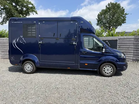 Ford Transit | HORSETRUCK | STX | STALLION 3XL | 2023 | HENGST | 57.220KM | 3-SEAT | L3 | AUTOMAAT |
