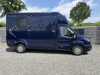 Ford Transit | HORSETRUCK | STX | STALLION 3XL | 2023 | HENGST | 57.220KM | 3-SEAT | L3 | AUTOMAAT |