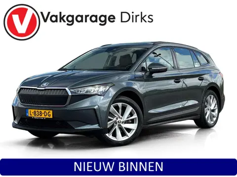 Skoda Enyaq iV ✅ Pano ✅ Leder ✅ ACC