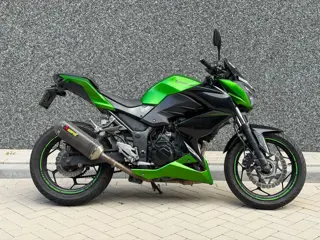 Kawasaki Tour Z 300 ABS