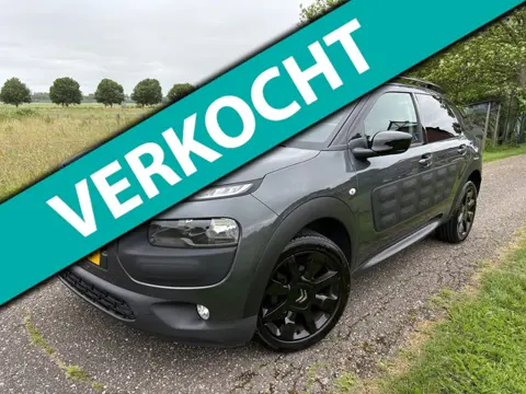 Citroen C4 Cactus 1.2 e-VTi Shine|AUT|Achteruitrijcamera|Nw Distributie