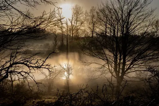 Fotobestanden op dibond als wanddecoratie