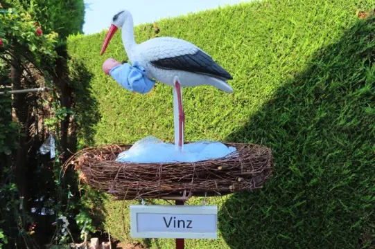 Geboortebord / ooievaar + nest goedkoopst huren.