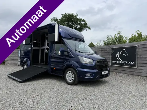 Ford Transit | HORSETRUCK | STX | STALLION 3XL | 2023 | AUTOMAAT | HENGST | 57.220KM | 3-SEAT | L3 |