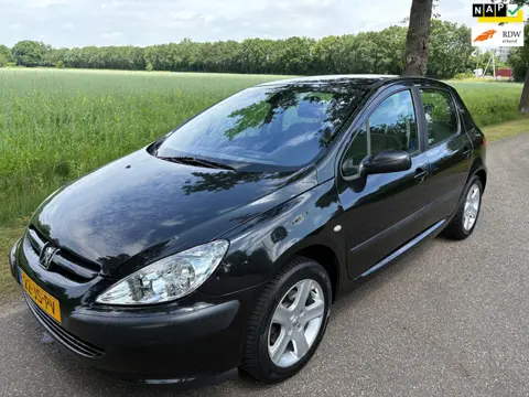 Peugeot 307 2.0-16V XT Airco/APK/Trekhaak/Elektr. Ramen/Centraal
