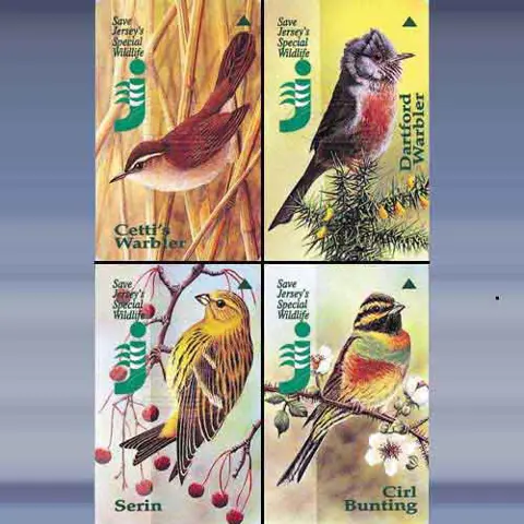 Special Wildlife 2