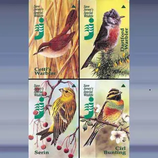 Special Wildlife 2