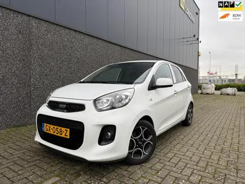 Kia Picanto 1.0 CVVT First Edition/Dealer onderh/Nieuwe APK en beurt!
