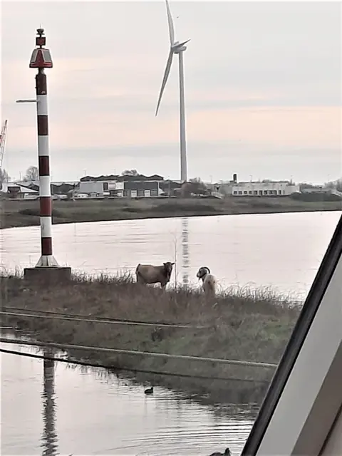 Woning aan de Westervoortsedijk te Arnhem