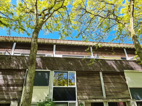 Woning aan de Liedekerkeplantsoen te Amsterdam