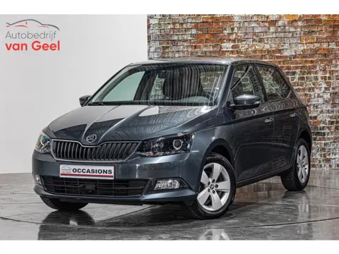 Skoda Fabia 1.2 TSI Monte Carlo I Airco I Cruise controle I Rijklaarprijs