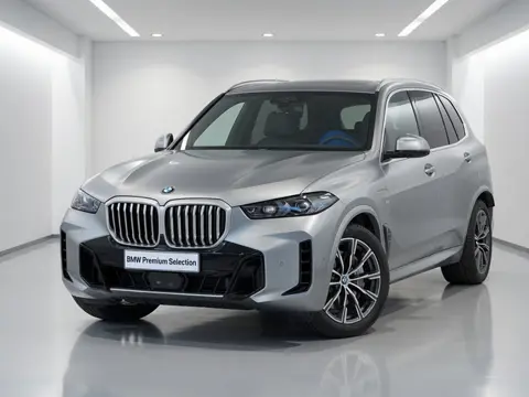 BMW X5 xDrive50e M-Sport Individual | Frozen Pure Grey | Autobahnassistent | Pano | Trekhaak | Comfo