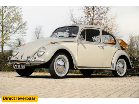 Volkswagen Kever 1200 Org. Nederlands 1965 Uitmuntende staat