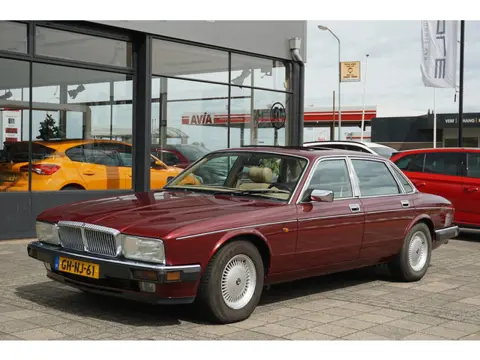 Daimler Double Six 6.0 V12 XJ81 Nederlandse auto