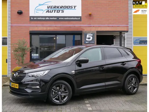 Opel Grandland X 1.2 Turbo Online Edition. camera. CarPlay. zeer mooi