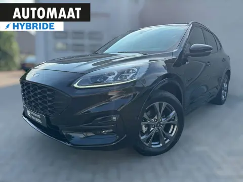 Ford Kuga 2.5 PHEV ST-Line X Nordic PHEV / ELEKTR. KLEP / WINTERPACK / CARPLAY / MATRIX / ALCANTARA 