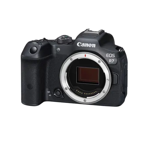 Canon EOS R7 + RF 100-400mm F5.6-8 IS USM