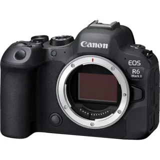 Canon EOS R6 Mark II + RF-S 10-18mm F4.5-6.3 IS STM