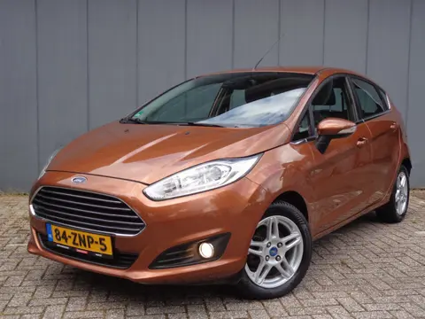 Ford Fiesta 1.0 EcoBoost Titanium 1 Eigenaar,Dealer Onderhoud