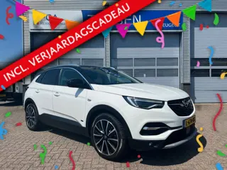 Opel Grandland X 1.6 Turbo Hybrid4 300PK Business Executive | Stuurverwarming | Navigatie | Achterui
