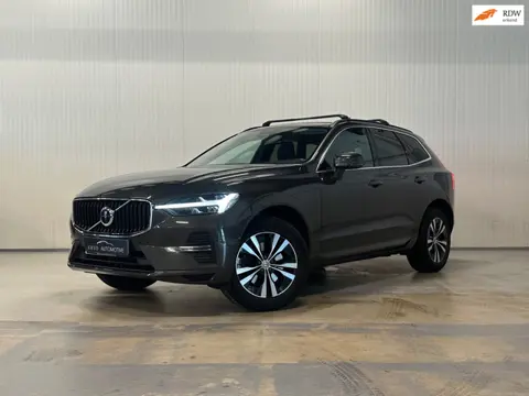 Volvo XC60 2.0 B4 Momentum Business | LED | ACC | HARMAN/KARDON | CAMERA | MILD HYBRIDE