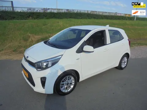 Kia Picanto Kia picanto 1.0 benzine DynamicLine airco lmv camera 98.000km eerste eigenaar