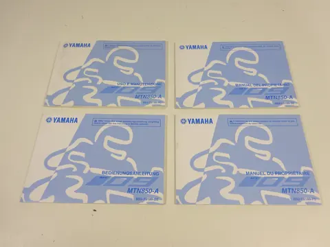 INSTRUCTIEBOEKJE Yamaha MT 09 2013 - 2017